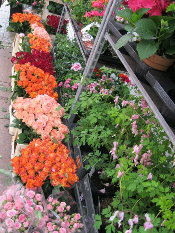 Berlin flower market